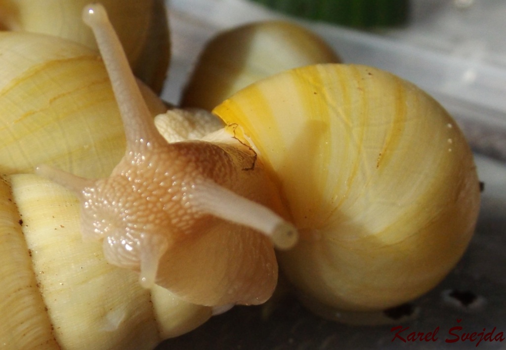 DSCF0164