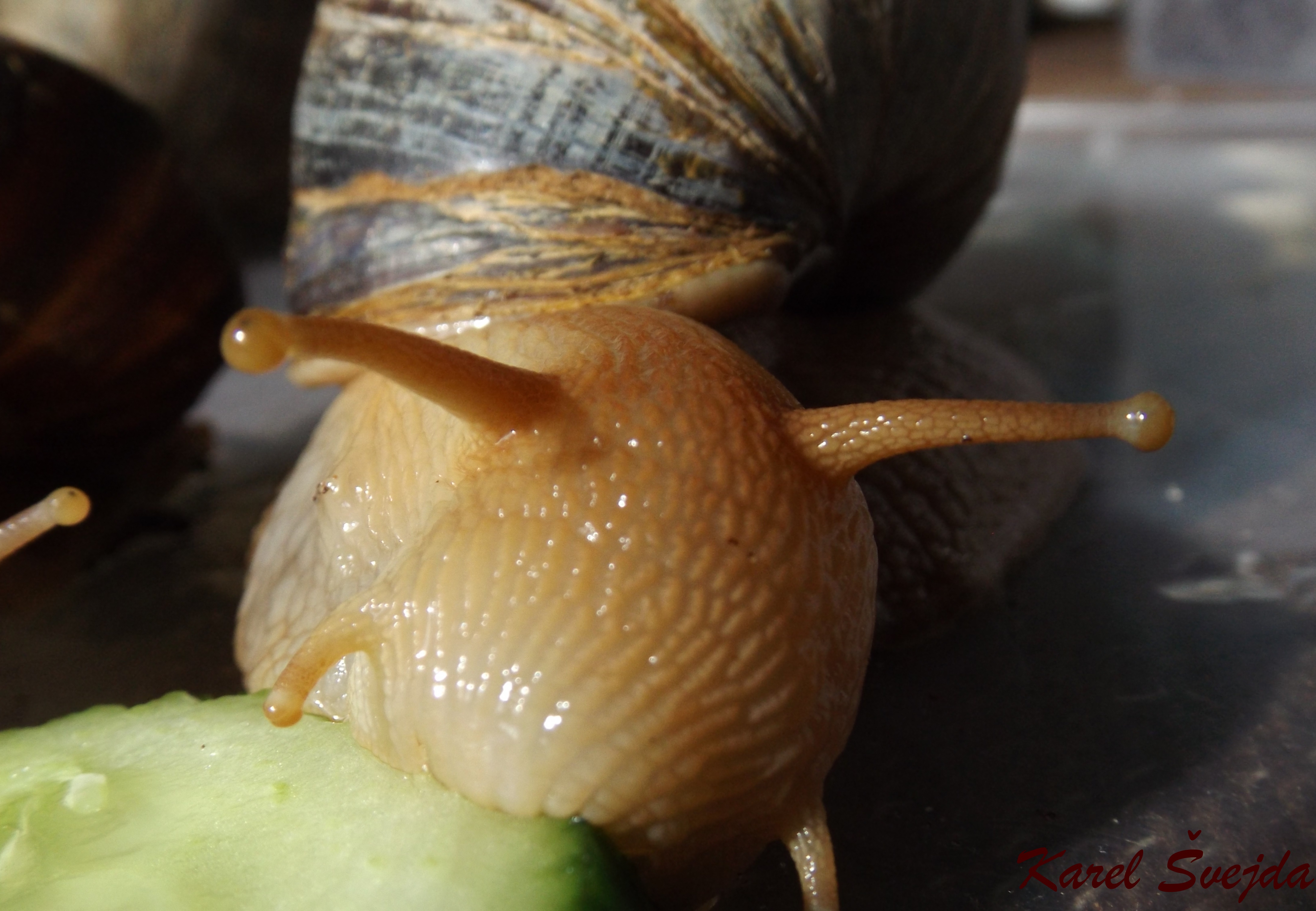DSCF0185