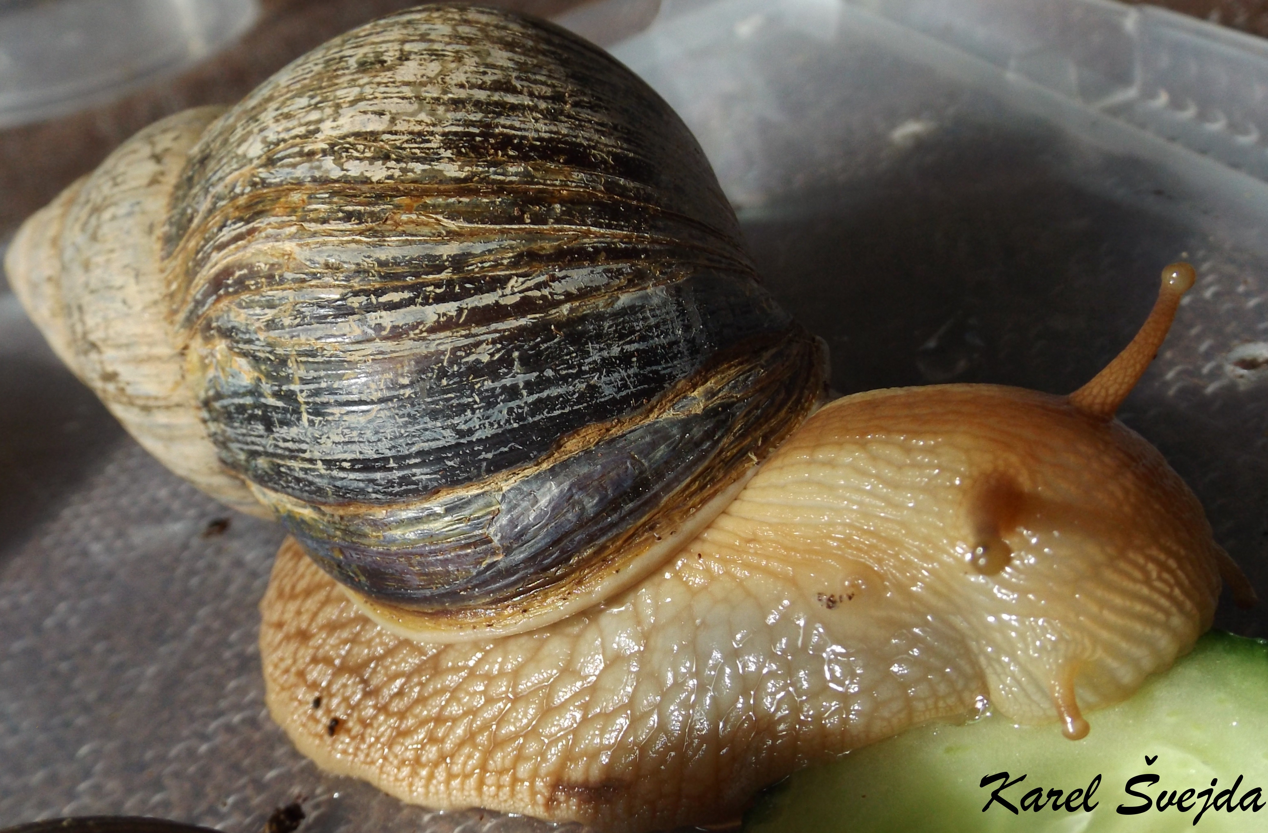 DSCF0188